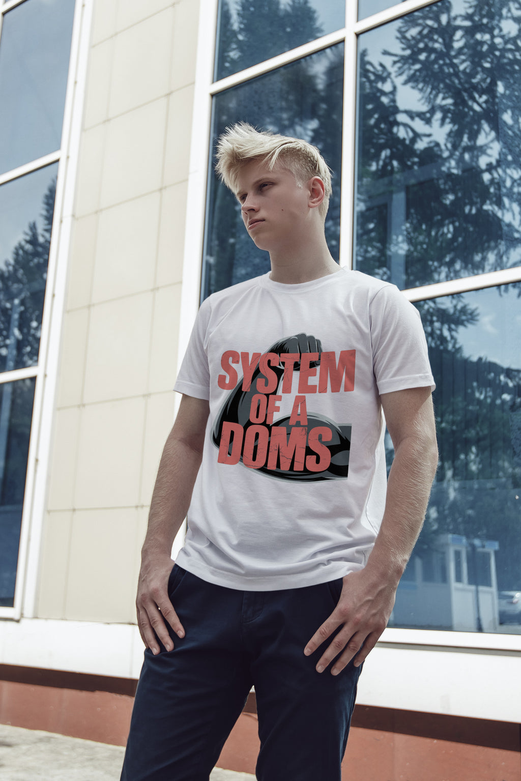 System Of A Doms